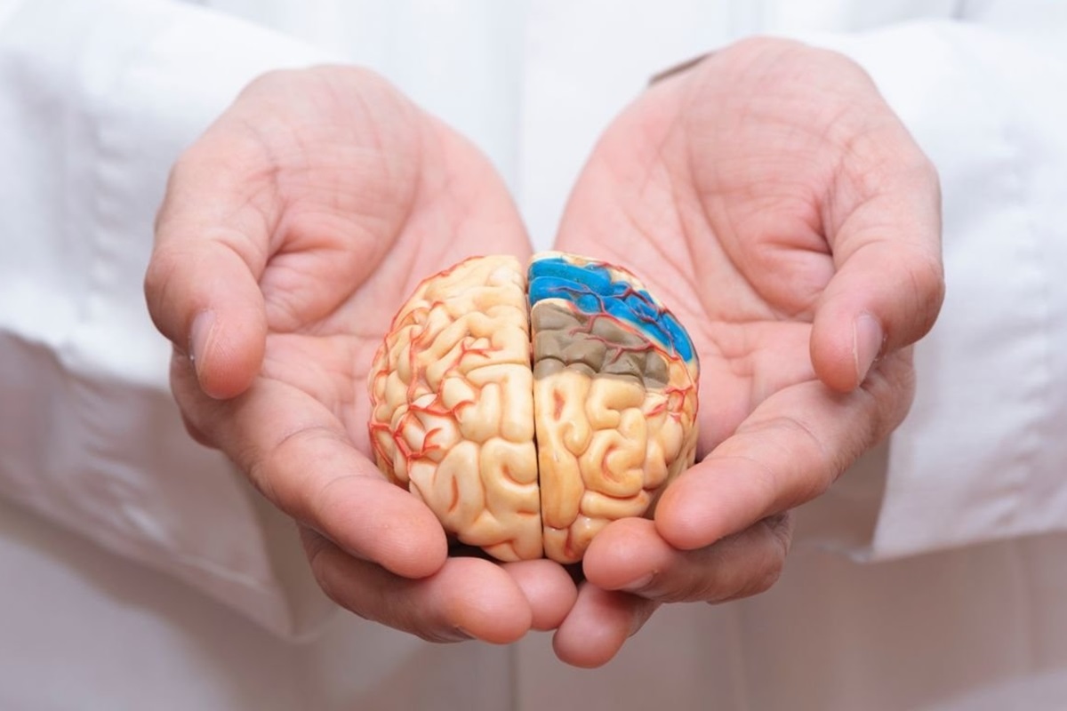 Alzheimer inizia anni prima dei sintomi: Scoperti i primi meccanismi nascosti Alzheimer inizia anni prima dei sintomi: Scoperti i primi meccanismi nascosti