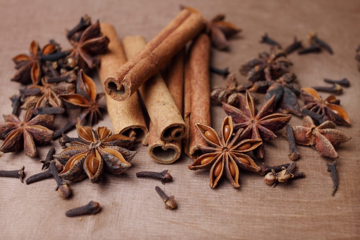 Il trucco poco ortodosso per ravvivare le piante d’interno: caffè e cannella nel terreno