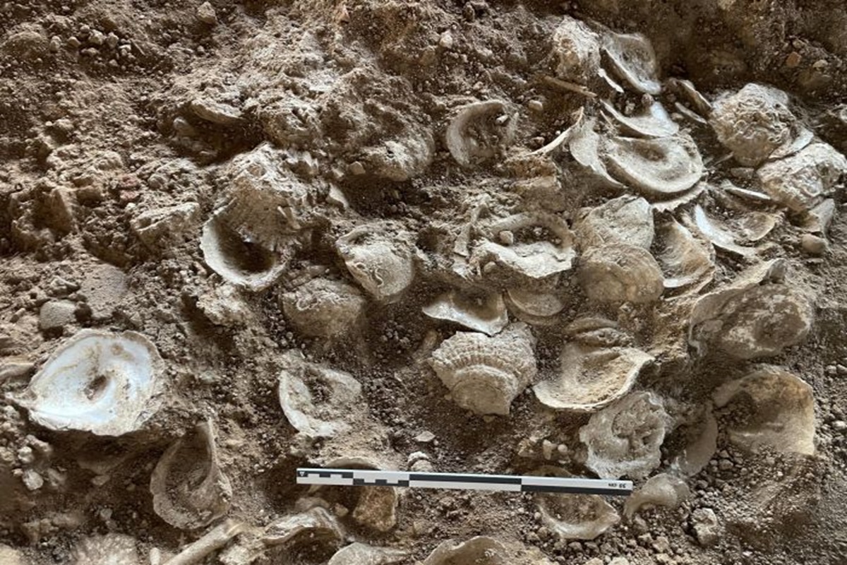 Scoperto tesoro romano di lusso da 1800 anni fa la rivelazione archeologica che scuote la storia umana